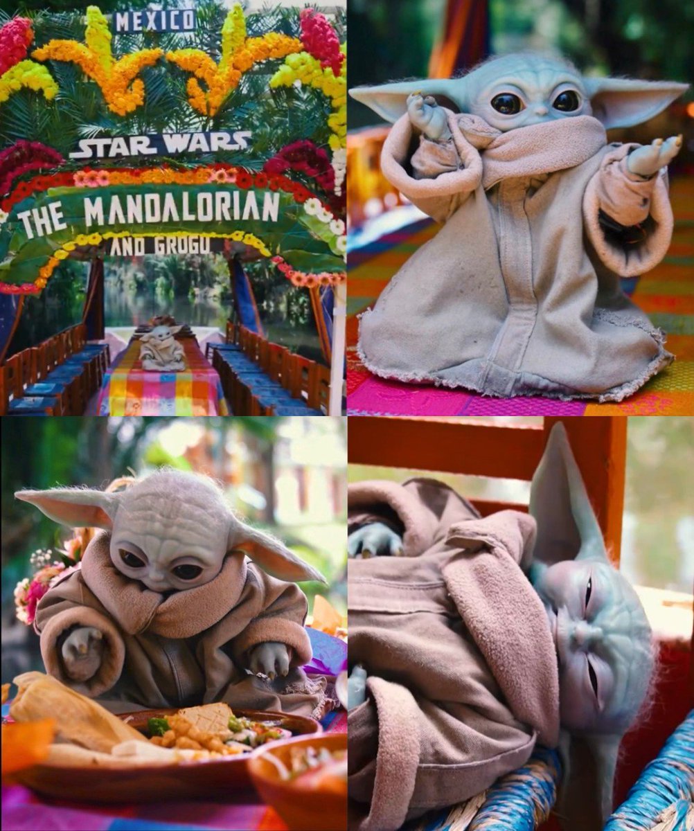WookieeNews's tweet photo. Las vacaciones de Grogu en México acabaron en empacho 😋 https://t.co/URJLxkEl7E
