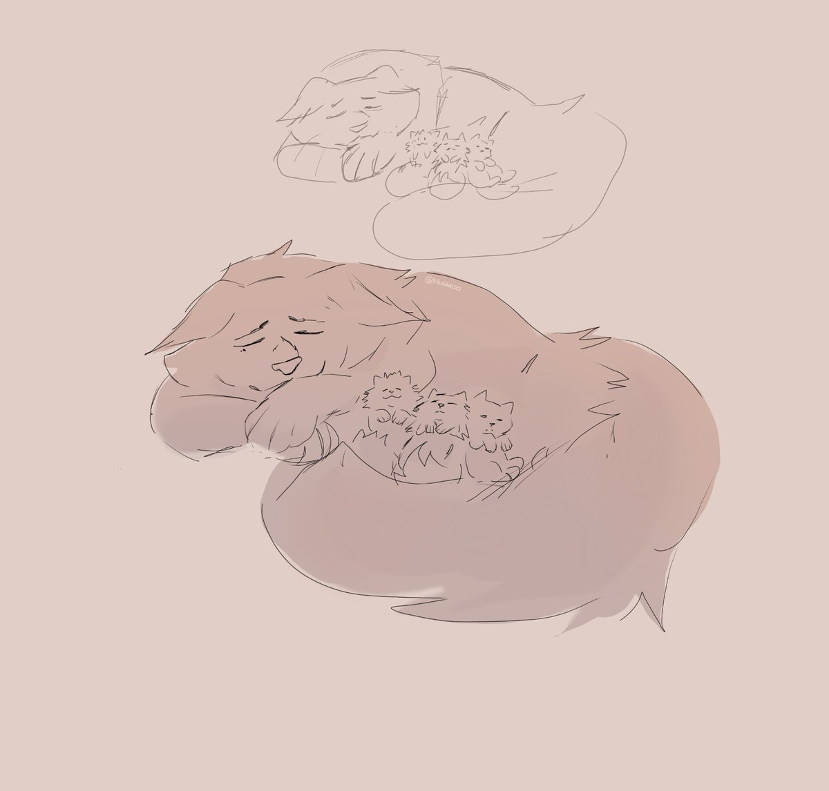 nushroo's tweet image. I don't remember if I posted this here but #squirrelflight sketch !! she's with her minions #warriors #warriorcats