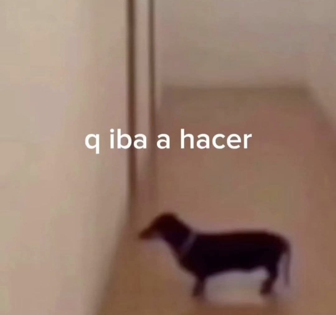 Yo a cada rato