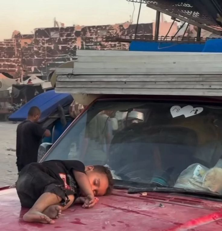 Dr. LilyFayed🇵🇸 tweet media