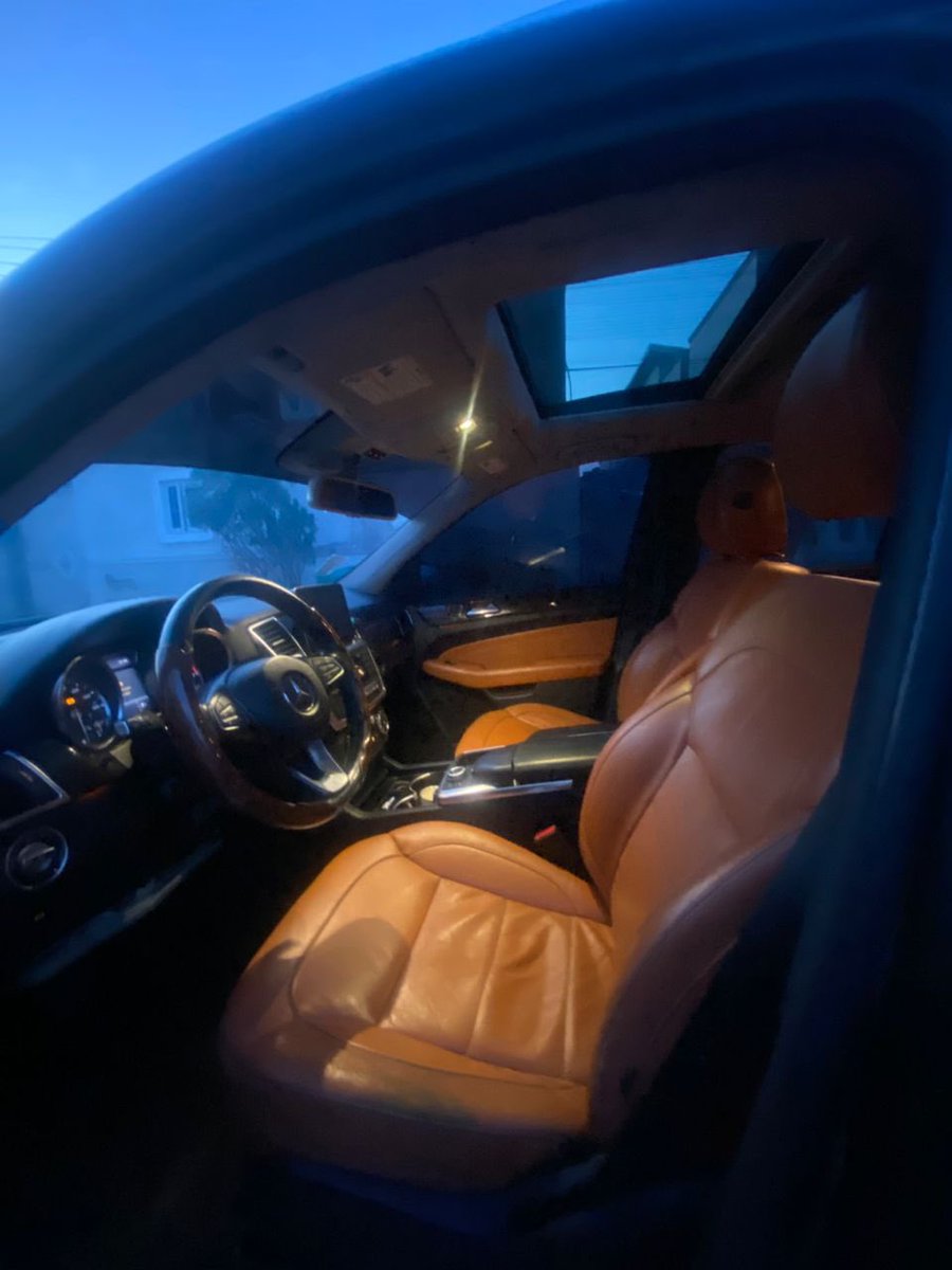 B¹G ZIM tweet media