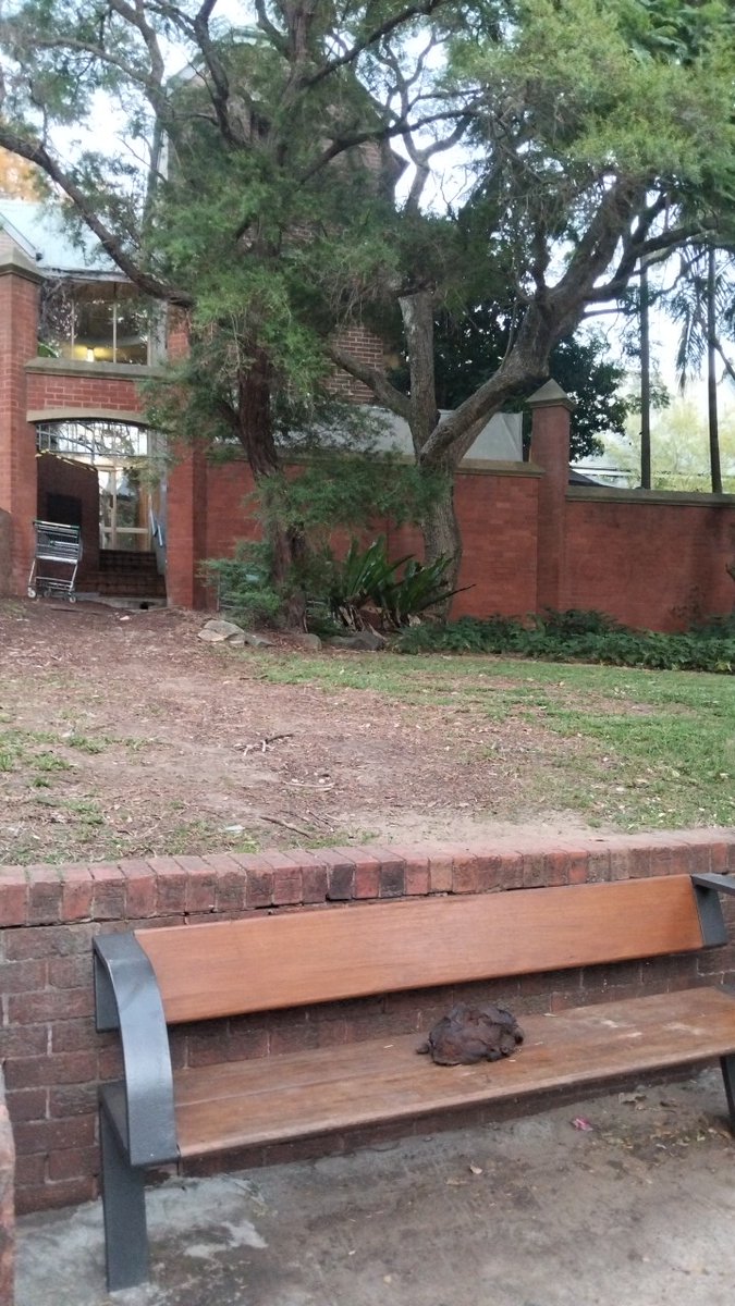 MarkDABond's tweet image. I THINK I WANNA ROCK 💩🦅

@facsnsw @nswpolice @NSWHealth

Tobruk Reserve 

#WATERLOO