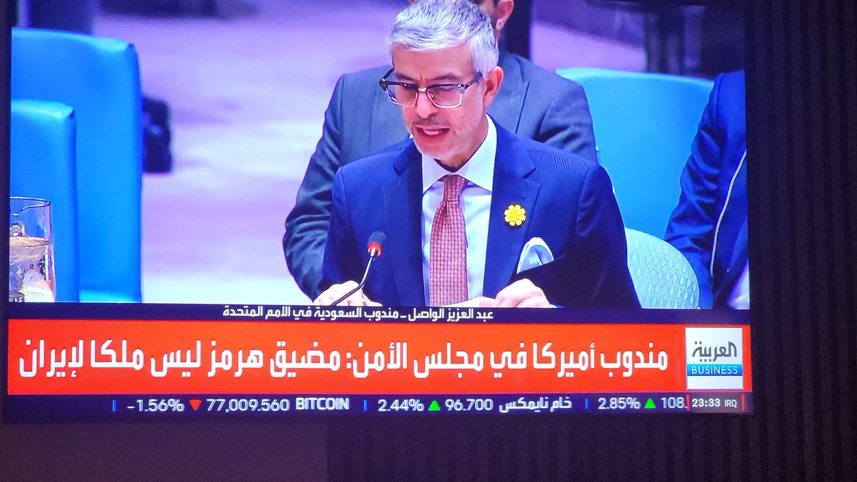 مندوب السعودية عبدالعزيز الواصل في الامم المتحدة خلال كلمته في مجلس الامن متزين بزهرة العرفج