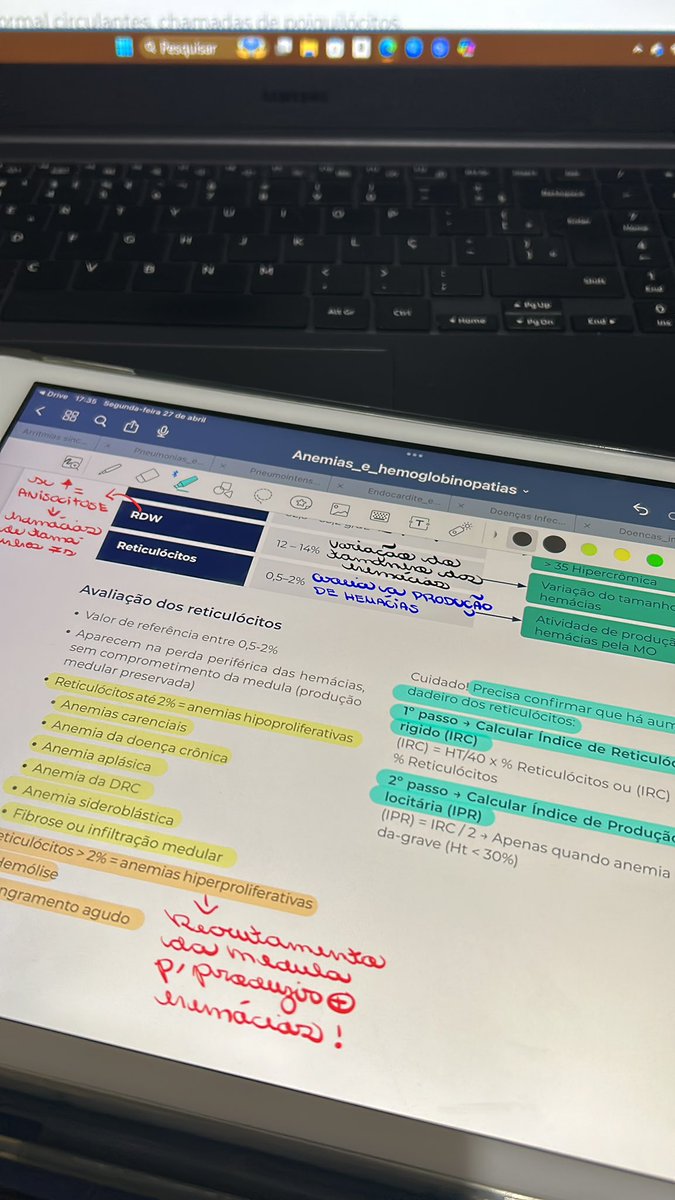 indoor cat tweet media