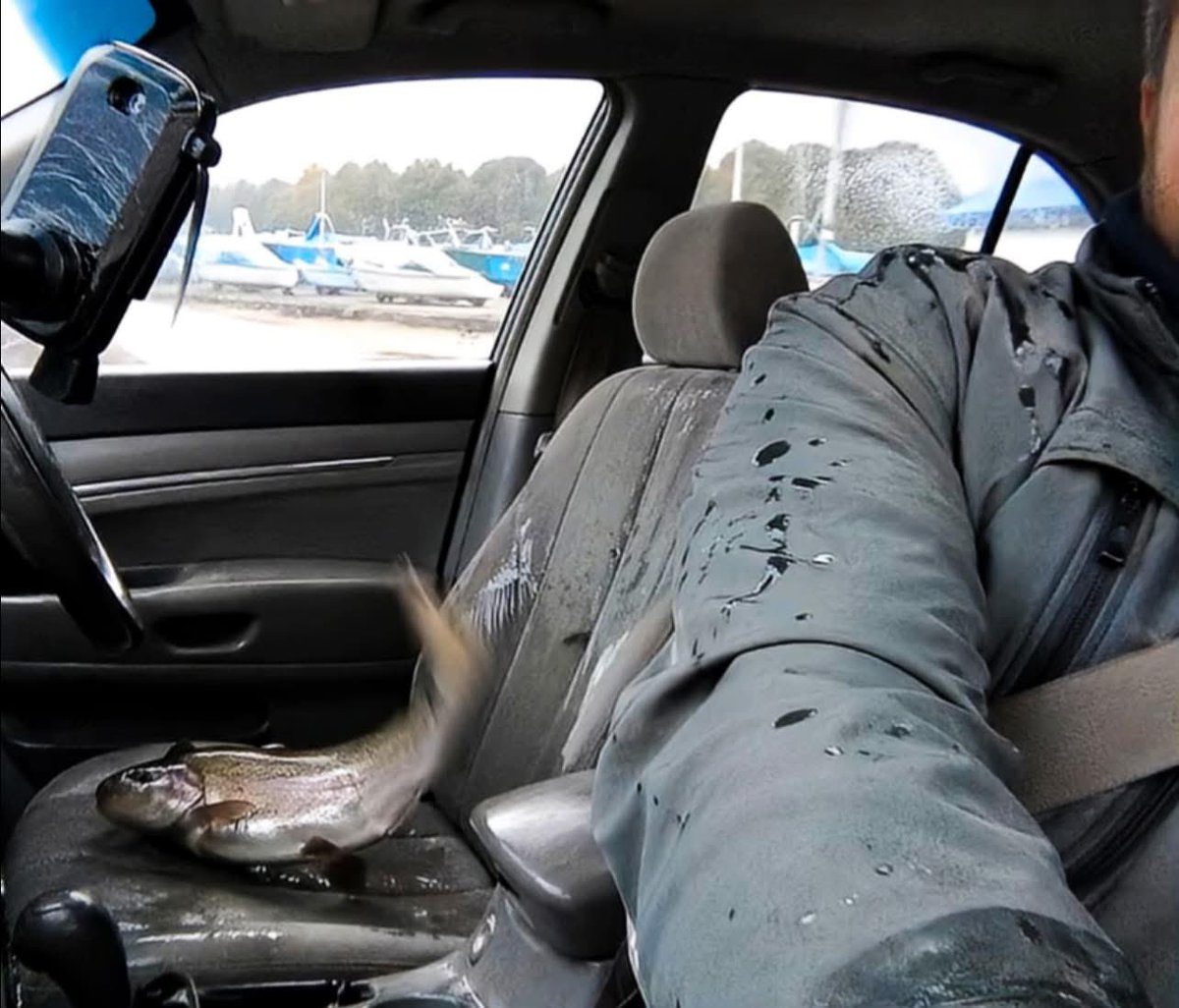 Mr PitBull tweet media