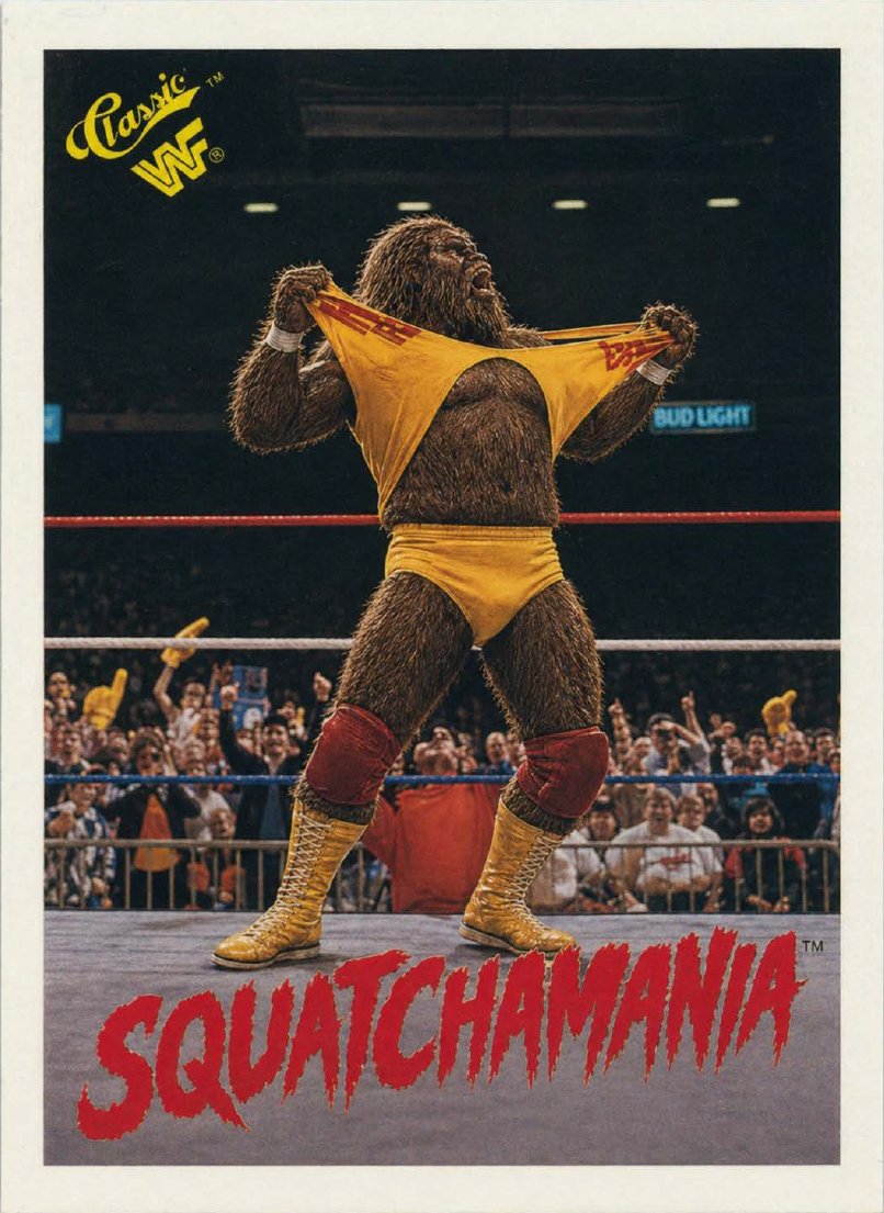 SlabSquatch Sports Cards tweet media