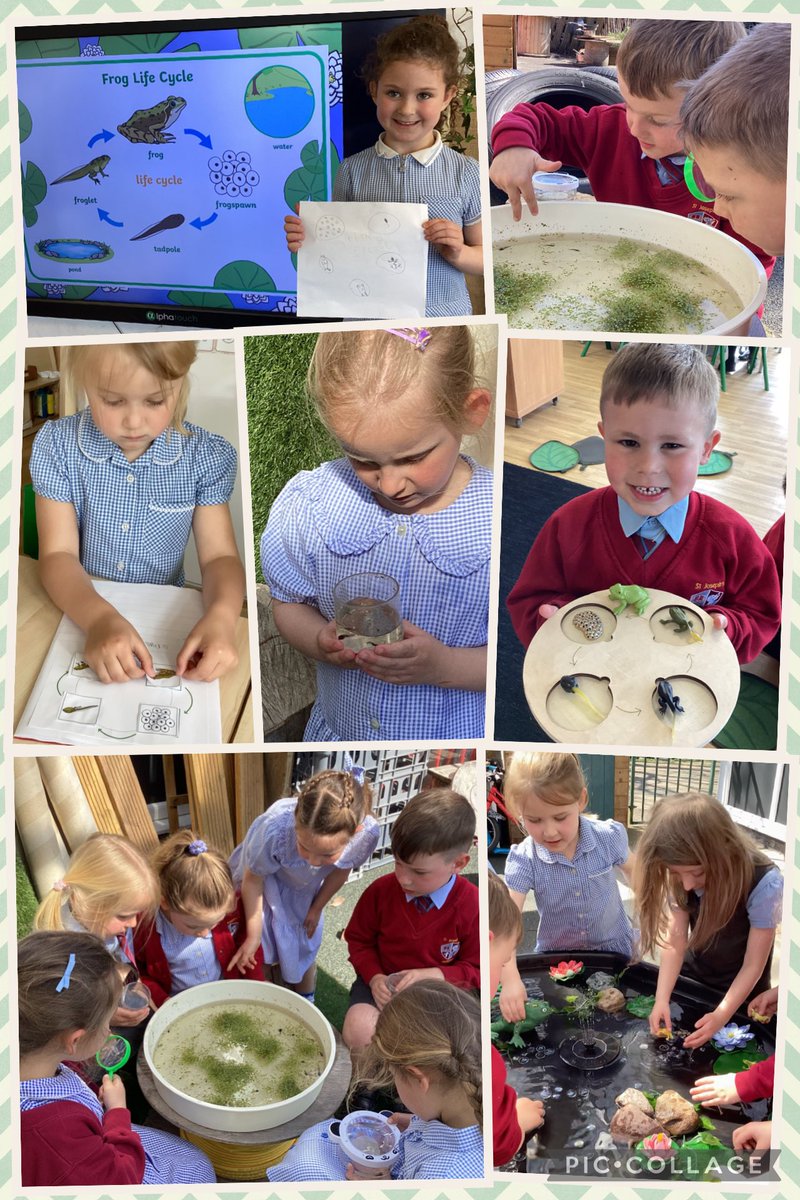 EYFSwithMissS's tweet photo. We are having so much fun learning about ‘Our Wonderful World’ and have loved observing and investigating different life cycles. We particularly enjoyed our visits to the pond to learn about the life cycle of a frog and are excited to see how our own tadpoles grow and change. https://t.co/ZzLvhqdQqt
