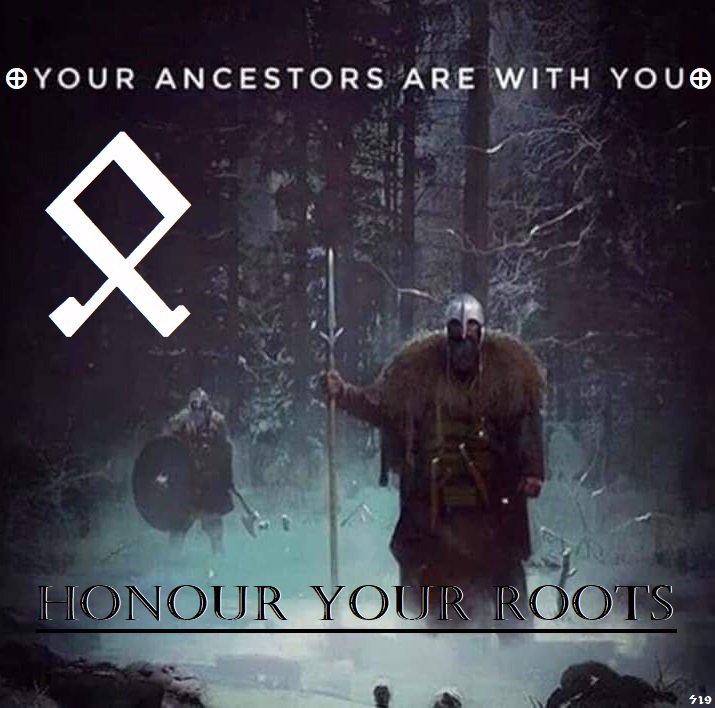 Valkyrie Mist tweet media