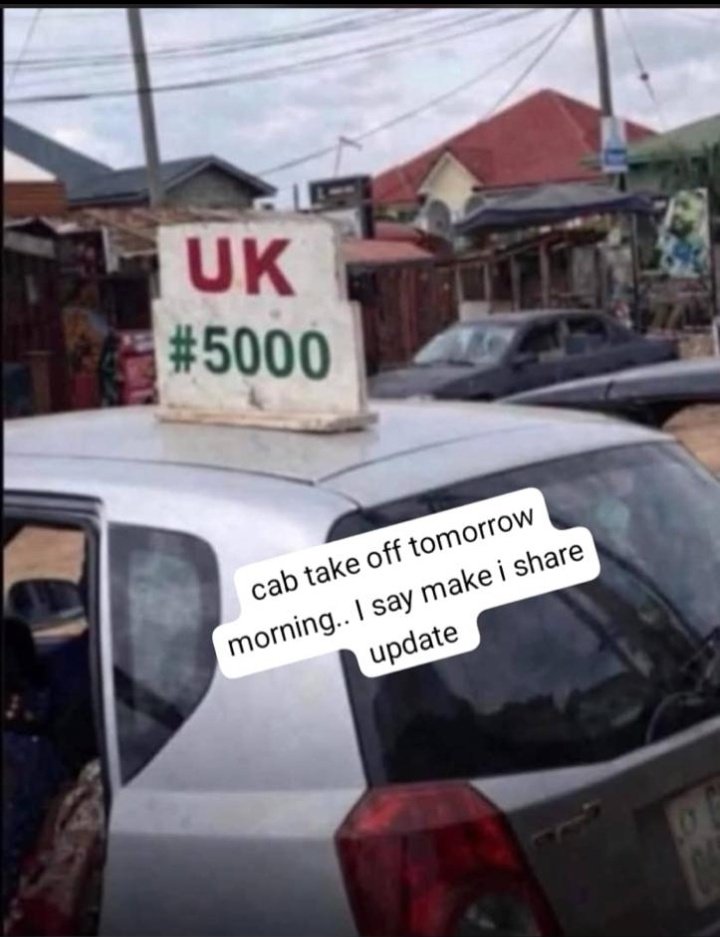 Vera_starlyn tweet media