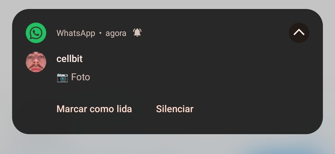 biaotaria 土 cr: lua nova tweet media