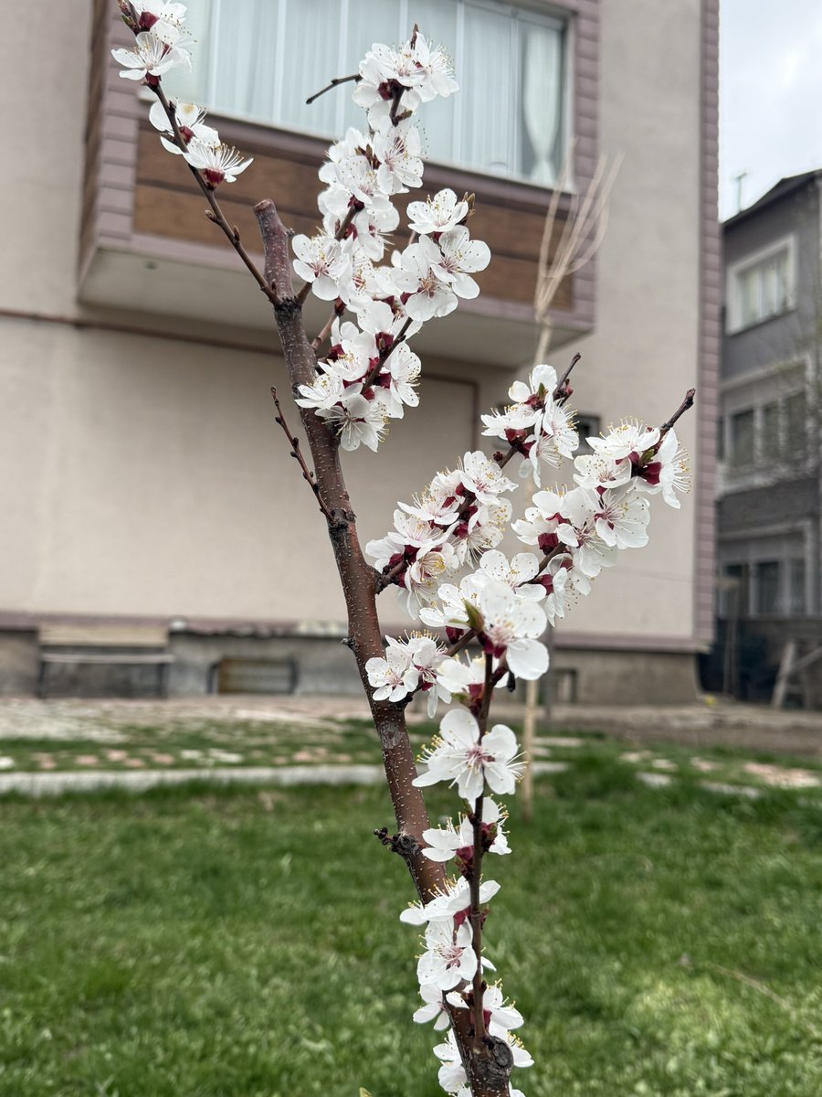 yusuf söylemiş tweet media
