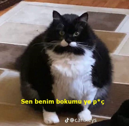 Sinem 🌸 tweet media