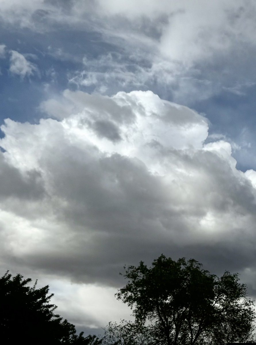 jonimarielew's tweet image. #clouds #Nevada #desert #sky