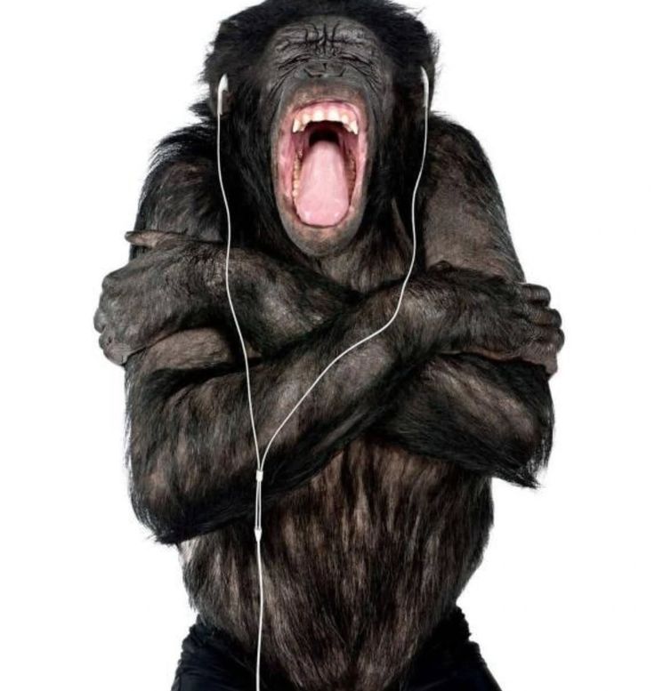 pink evil pou tweet media