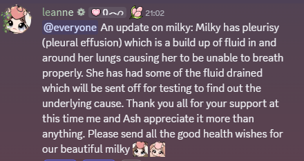 ashlie tweet media