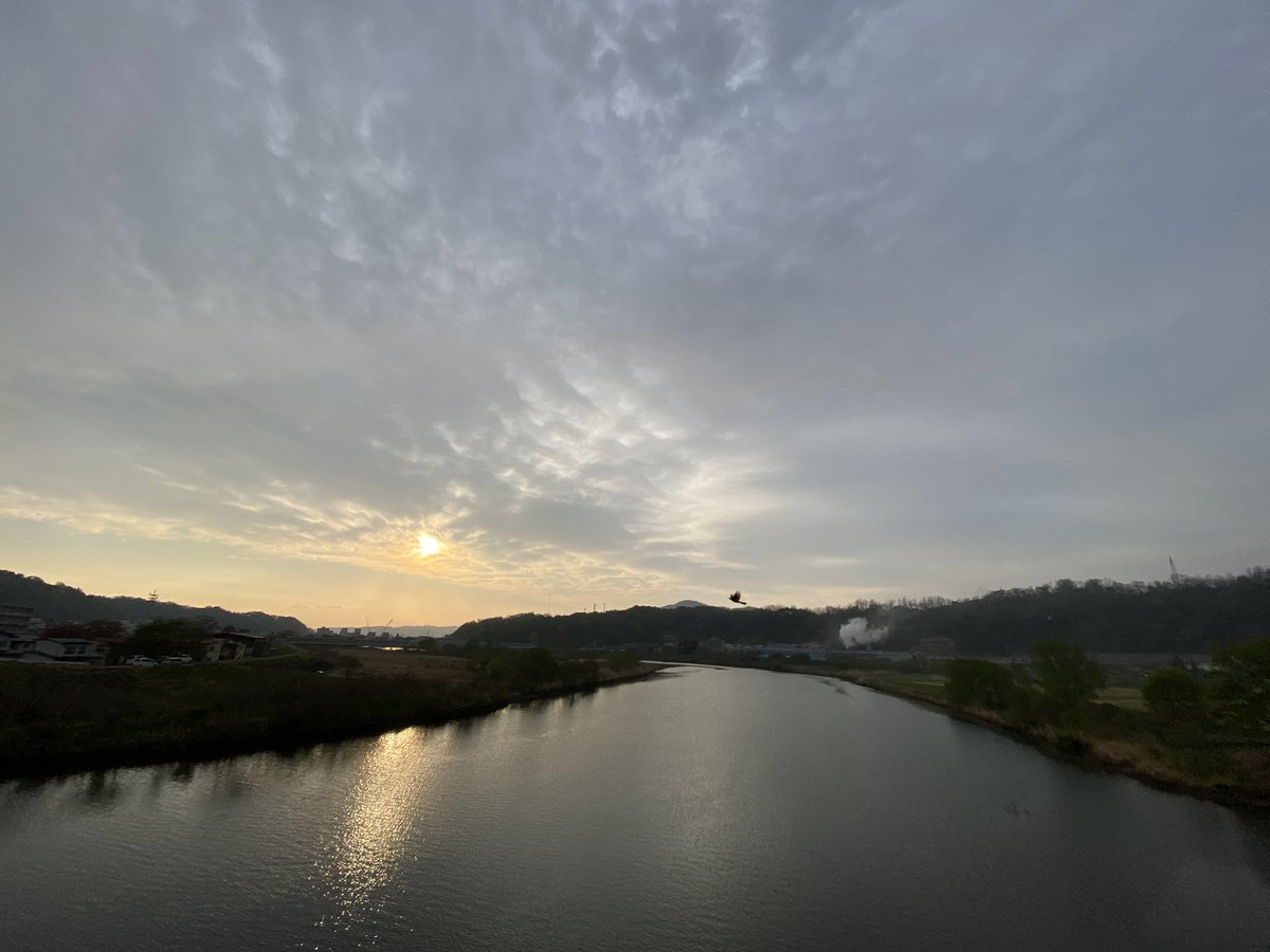 Nishibori MiZoo tweet media