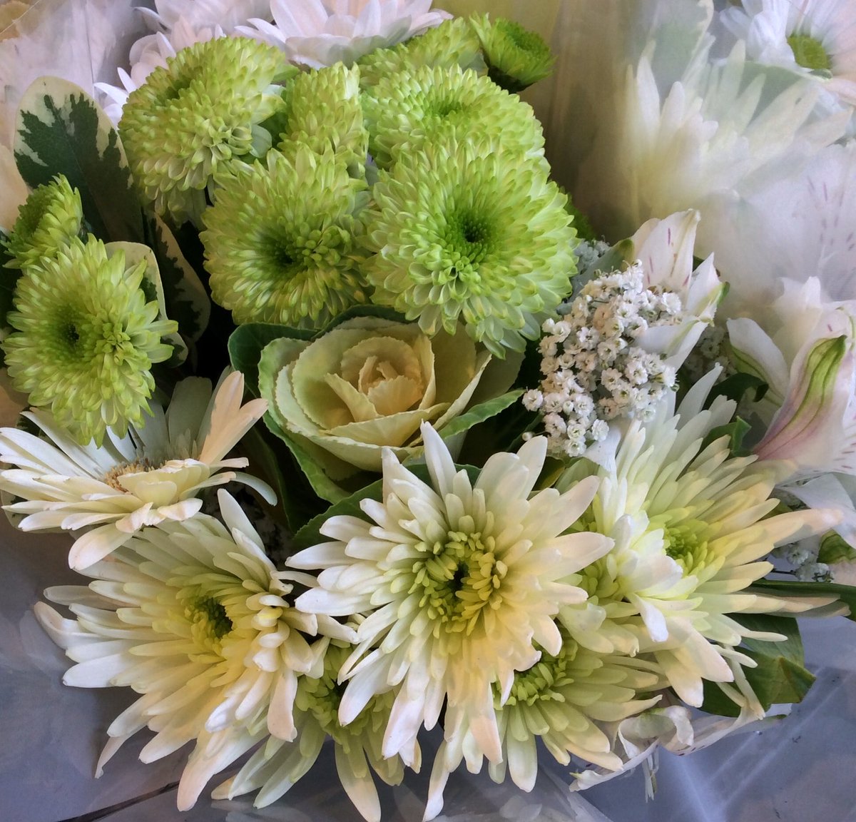 KMLUD.COM tweet media