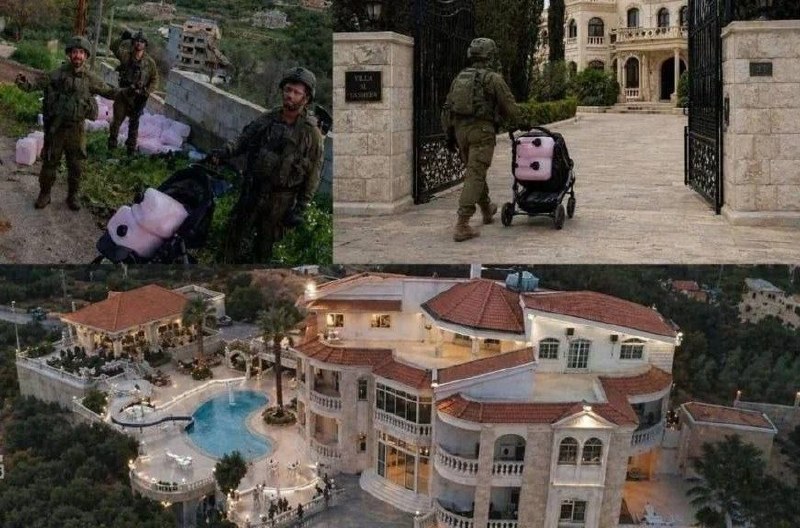 Middle East Observer tweet media