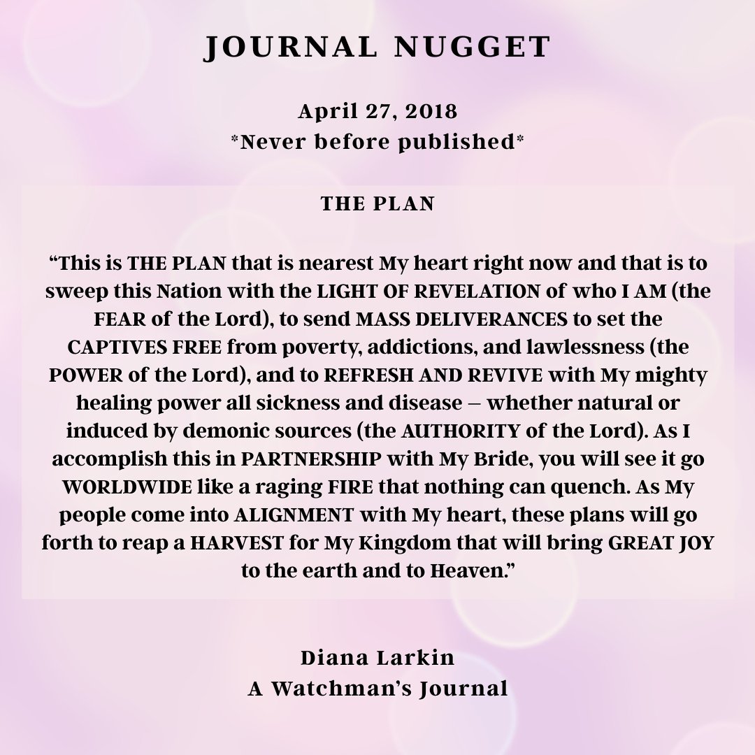 JOURNAL NUGGET! What a beautiful plan!!!