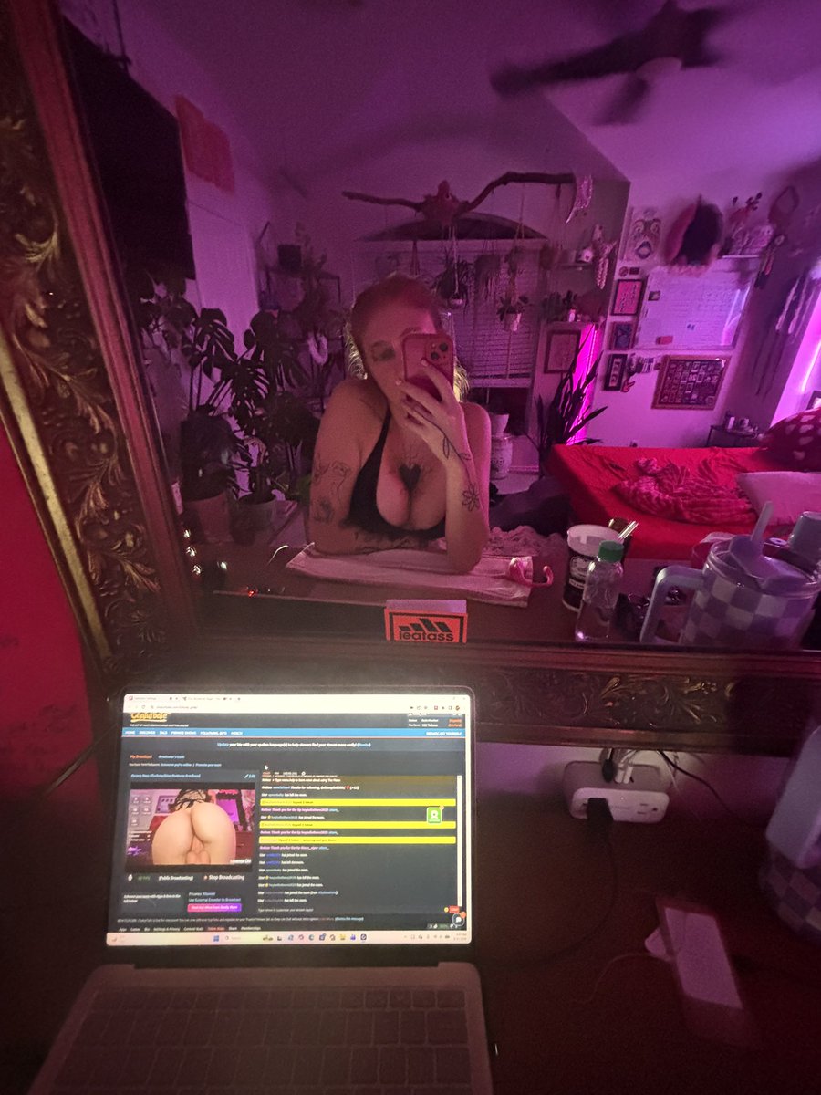 alexis 😽 tweet media