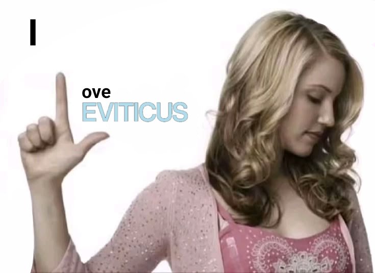 vicen leviticus era tweet media