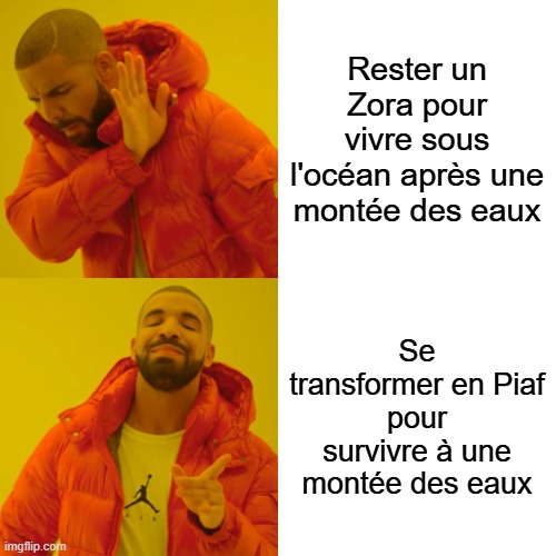 Durant l'after de l'épisode 6 de Hero's Purpose avec <a href="/Siphano/">Siphano</a> , on a commencé à parler des Zoras qui se transforment en Piafs suite à la montée des eaux. Pour l'occasion, ce meme a pop dans ma tête 😁😅