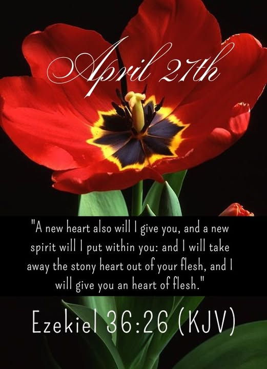 David W Harrison tweet media