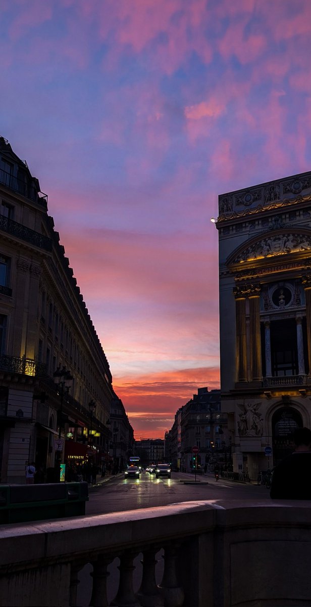 𝒘𝒂𝒏𝒅𝒆𝒓𝒍𝒖𝒔𝒕 ── .✦ tweet media