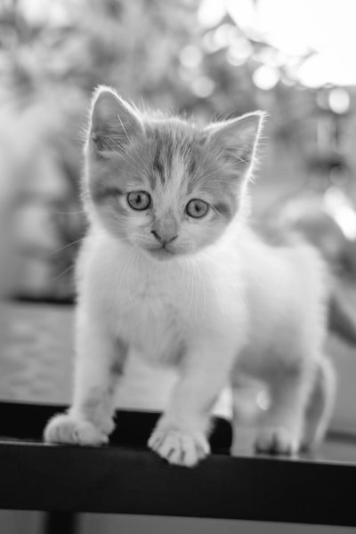 井川奎(Ikawa kei) tweet media