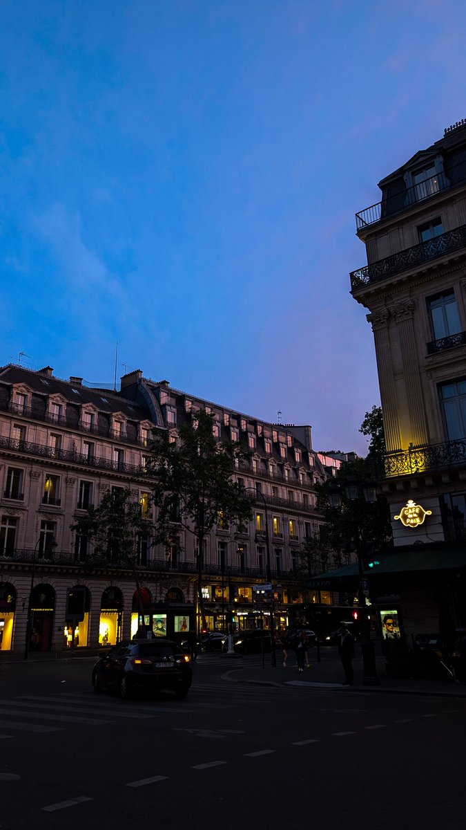 𝒘𝒂𝒏𝒅𝒆𝒓𝒍𝒖𝒔𝒕 ── .✦ tweet media