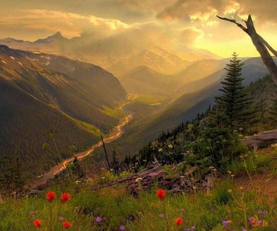 ShannonHypnotic's tweet image. Your body stores trauma as a frozen physiological state—a tight chest, a shallow breath, a flinch. Rediscover your best self through hypnotherapy. shannon-doyle.com/toxic-relation… 
#hypnosis #hypnotherapy #toxicrelationships #toxicpeople #toxicfamily
#toxicrelationship #toxiclove