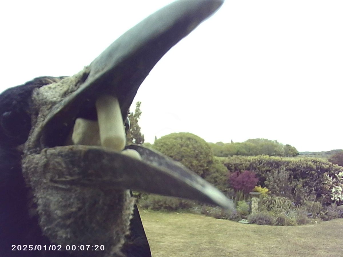 Nikki McGee tweet media