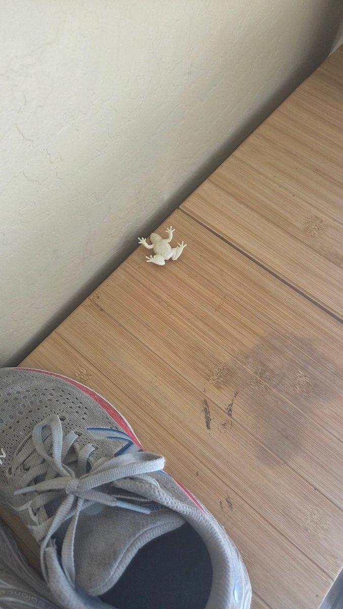 bruh why do kids just leave things in random places it's genuinely so funny idk why