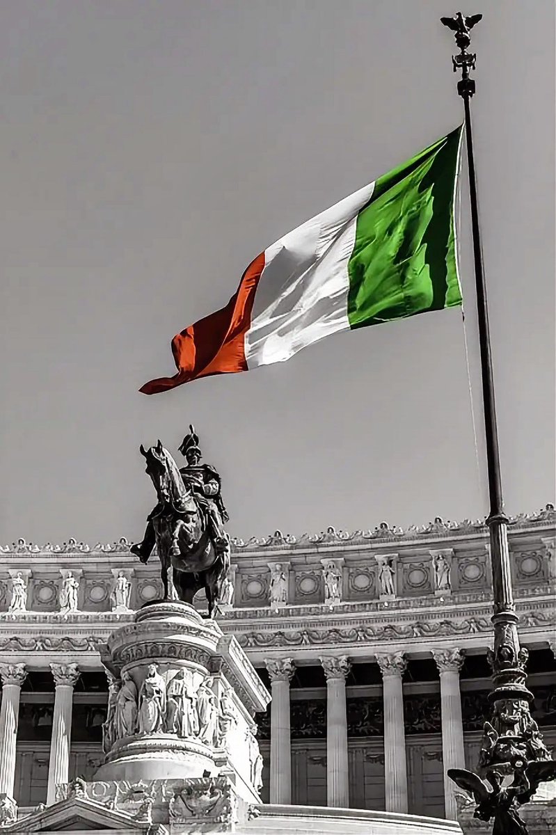 S. Blackwood | Briefs tweet media