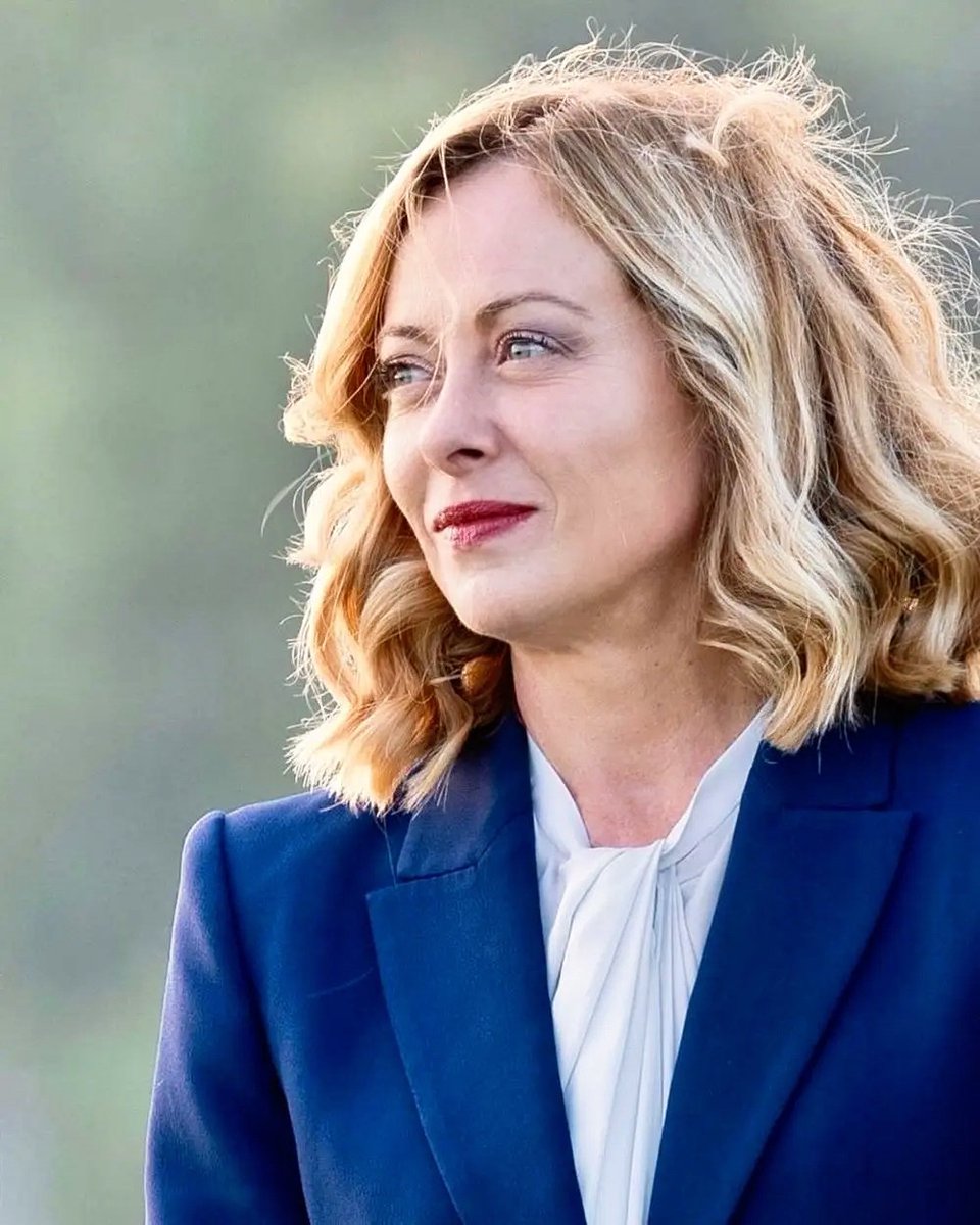 S. Blackwood | Briefs tweet media