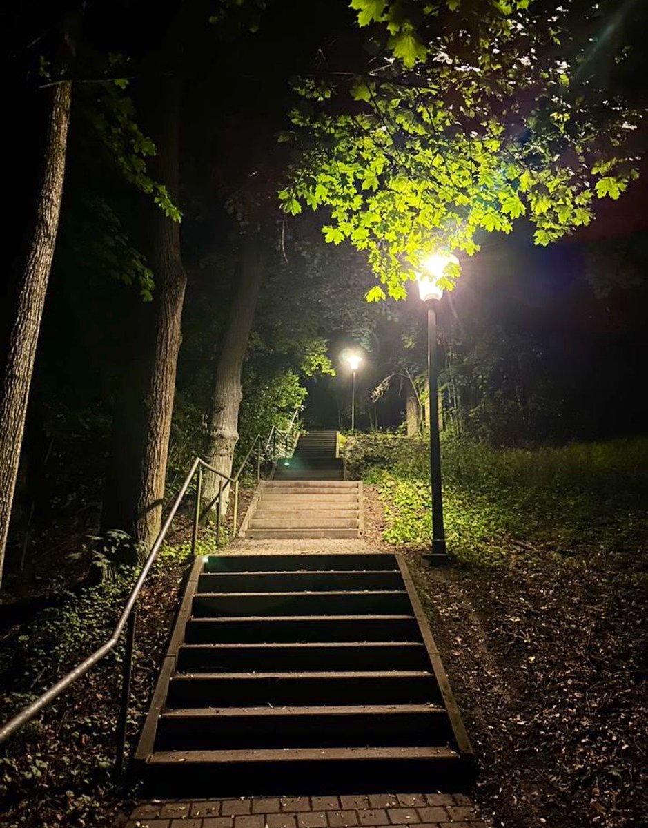 𓆩✧𓆪 Drew 𓆩✧𓆪 tweet media