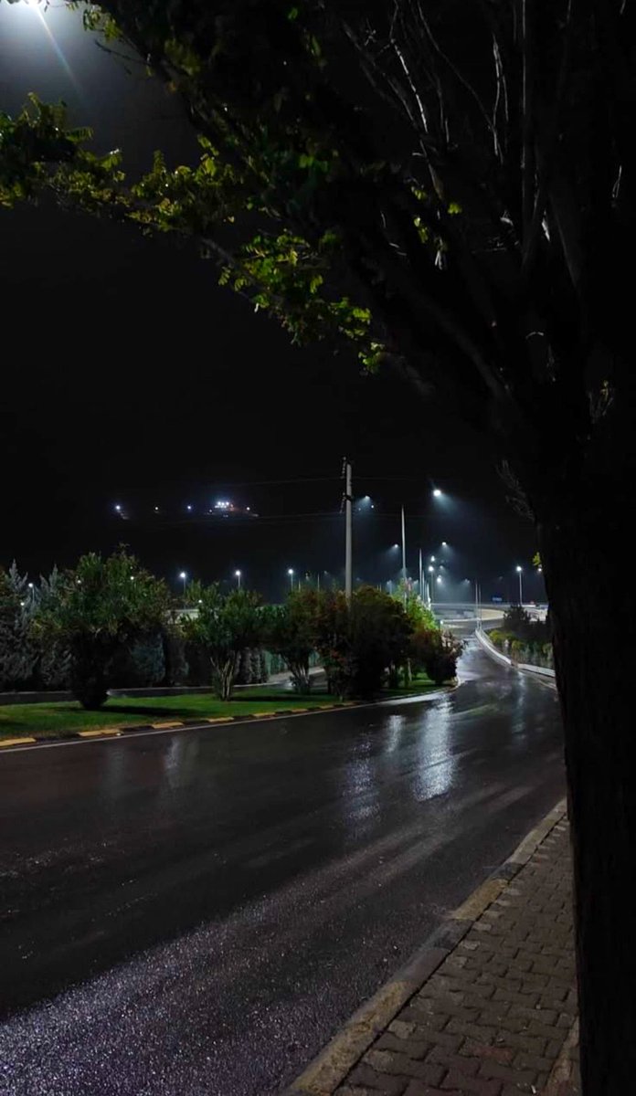 𓆩✧𓆪 Drew 𓆩✧𓆪 tweet media