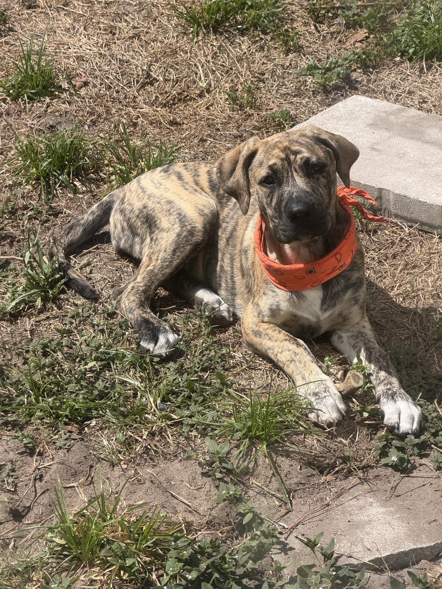 Sean Ray tweet media