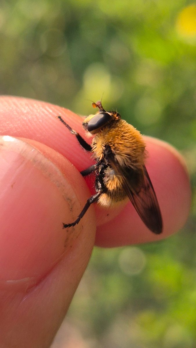 Ryan Mitchell tweet media