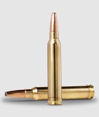 Scott Seitz tweet media