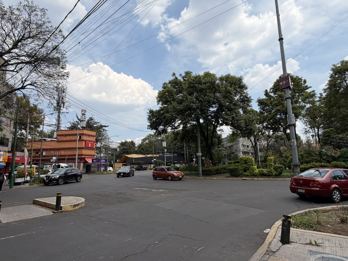 Diana Saucedo tweet media