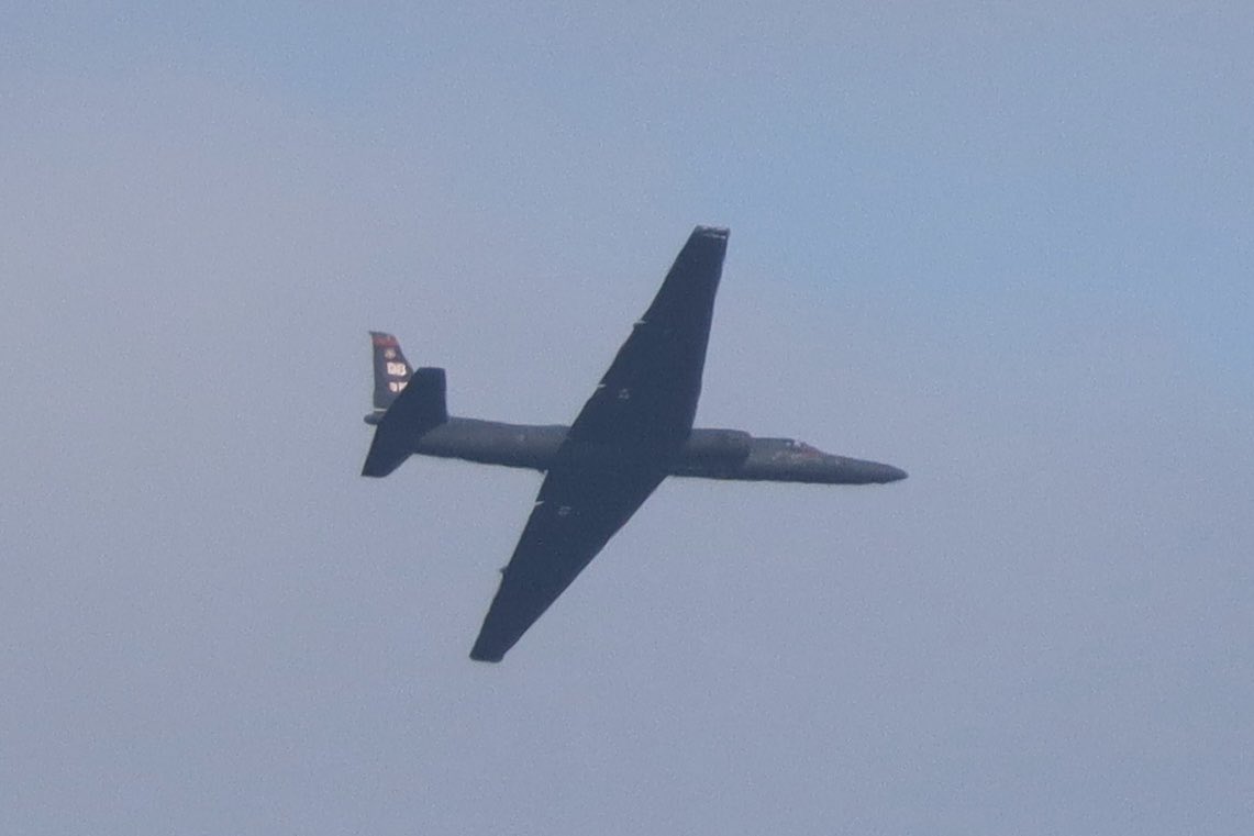 SF Jet Spotter tweet media