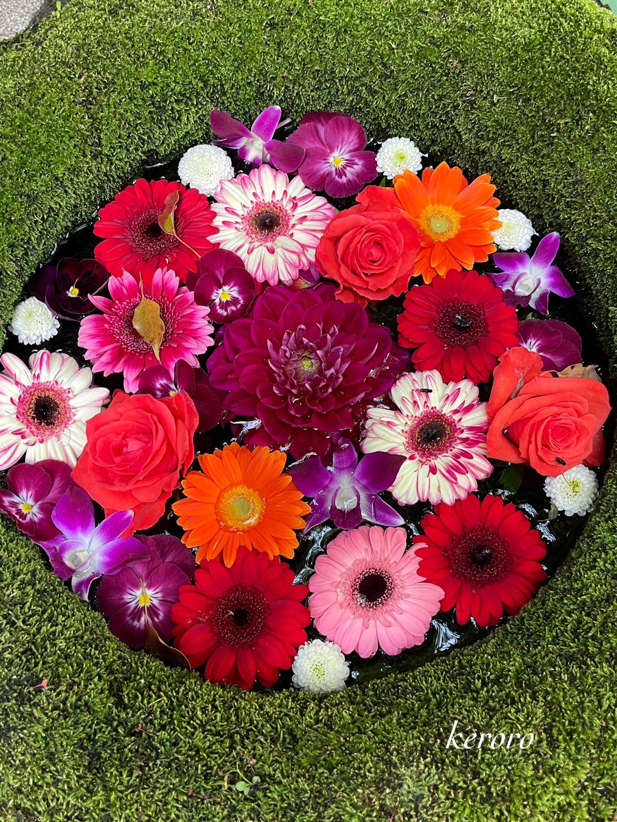 おはようございます😊

4月28日    火曜日    ⛅️
　　
いつもありがとう
　　　　ございます🙏

今日も宜しく
             お願いします🙇‍♂️

穏やかな良い一日に
         なりますように🍀
