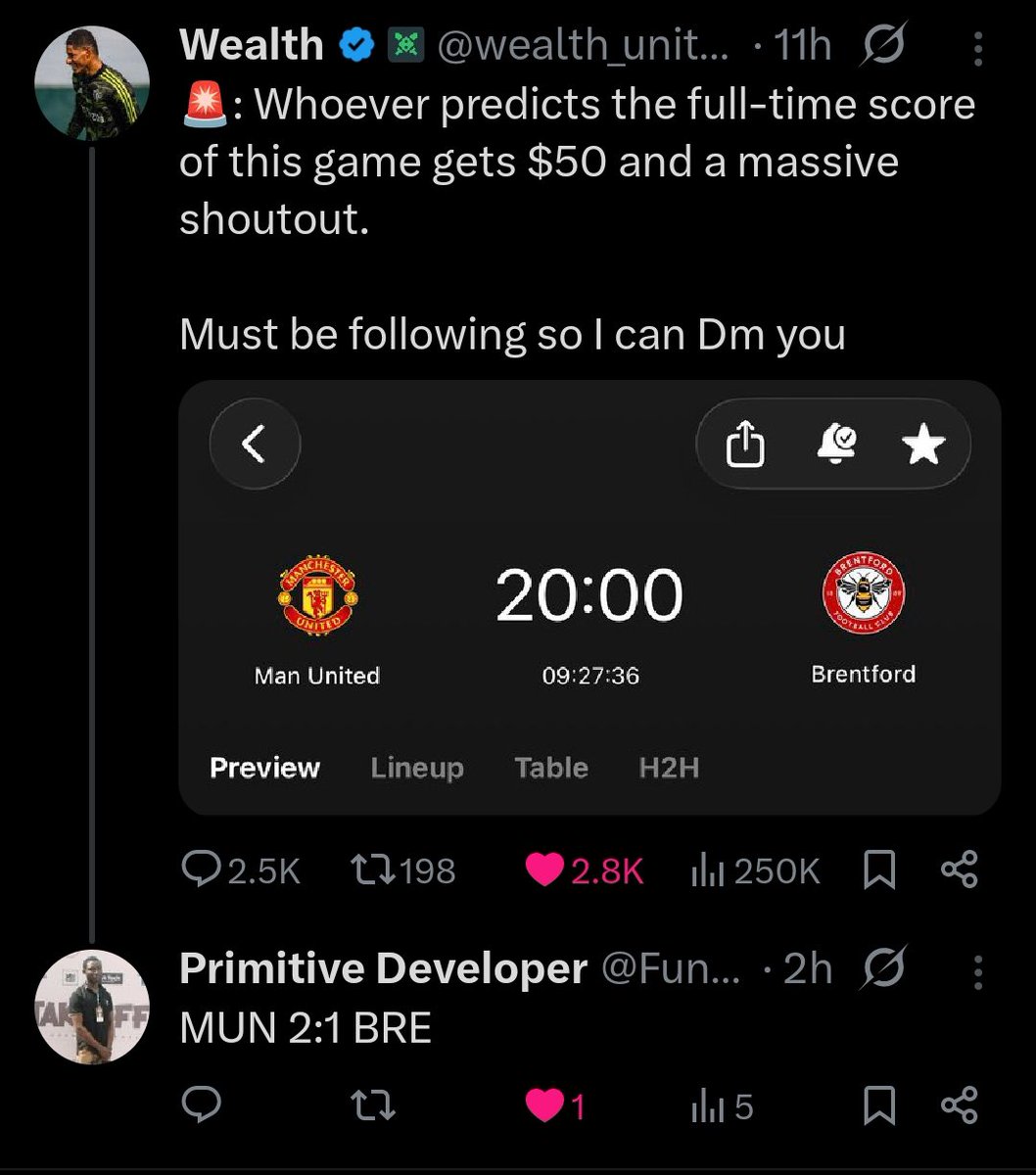 Primitive Developer tweet media