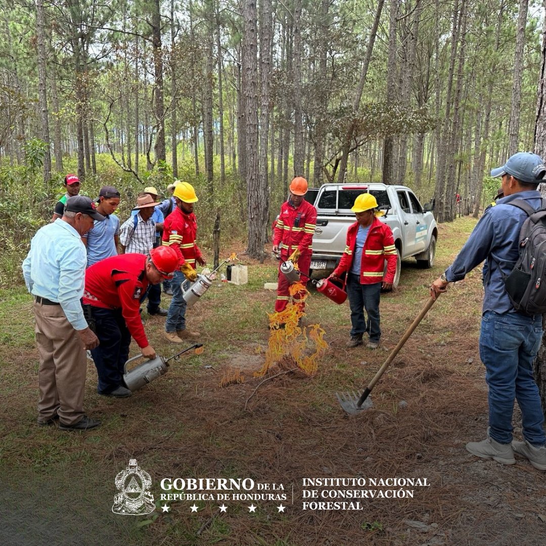Instituto Nacional de Conservación Forestal tweet media