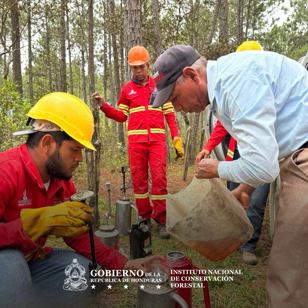 Instituto Nacional de Conservación Forestal tweet media