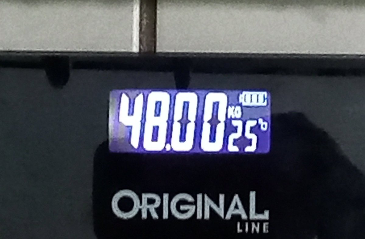 Lilly 🐾 tweet media