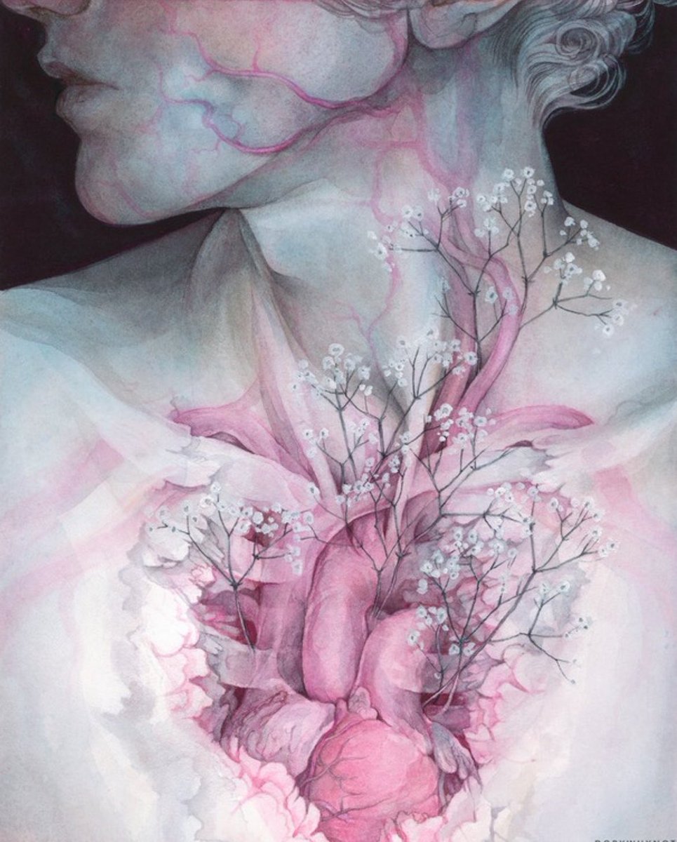 Deniz Ezda tweet media