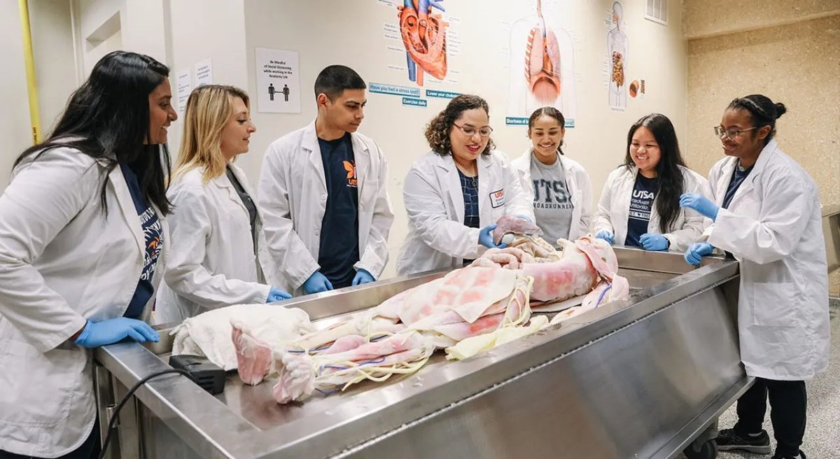UT San Antonio Academic Affairs tweet media