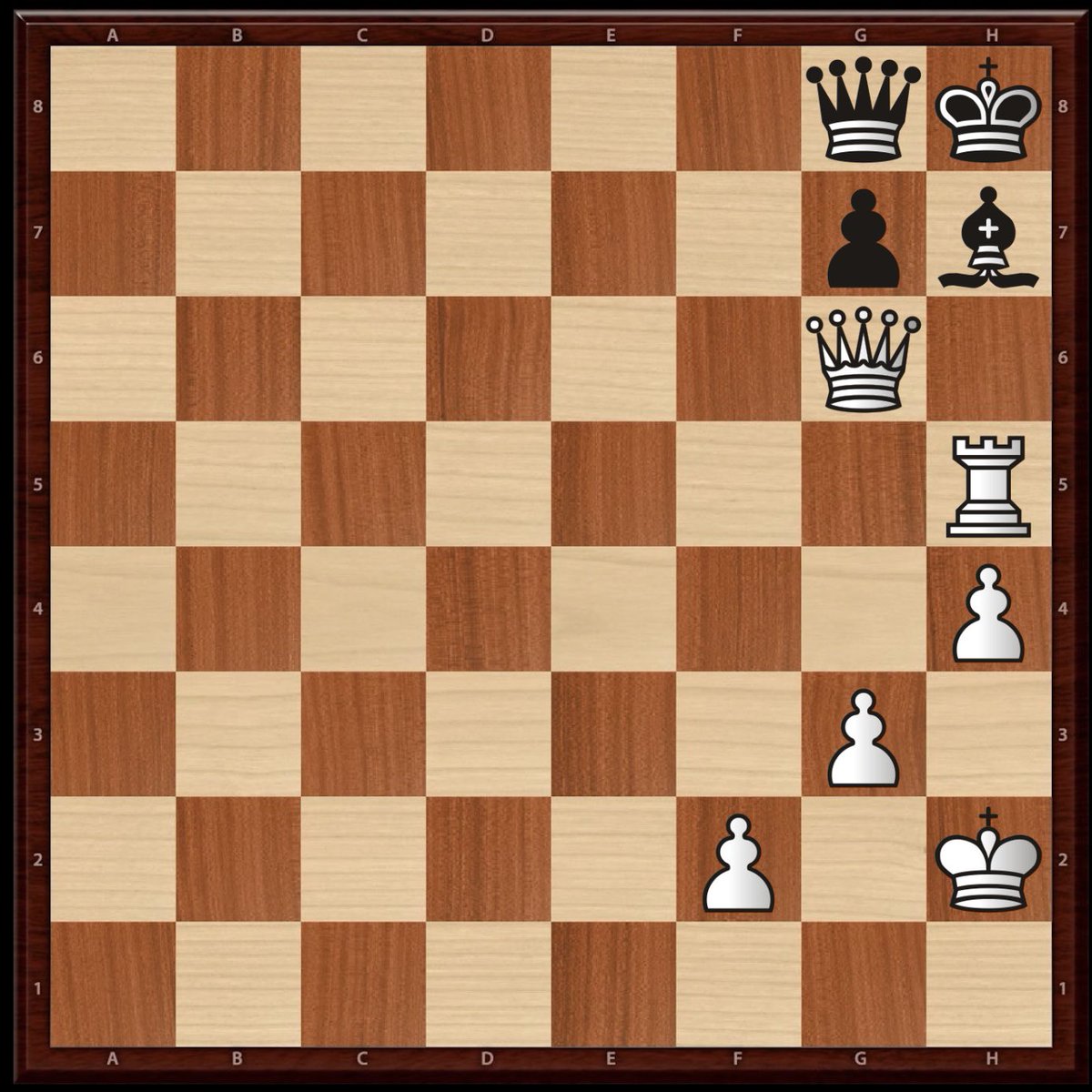 Susan Polgar tweet media